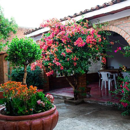 Villa Flores, Casa En El Centro De Mascota Luaran gambar