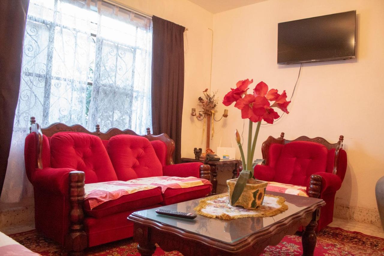 Villa Flores, Casa En El Centro De Mascota Luaran gambar