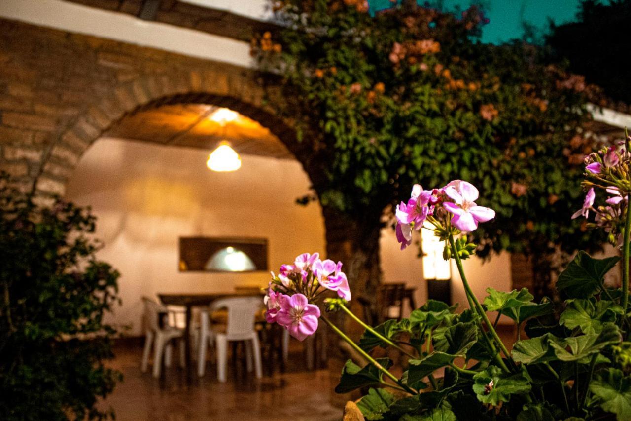 Villa Flores, Casa En El Centro De Mascota Luaran gambar