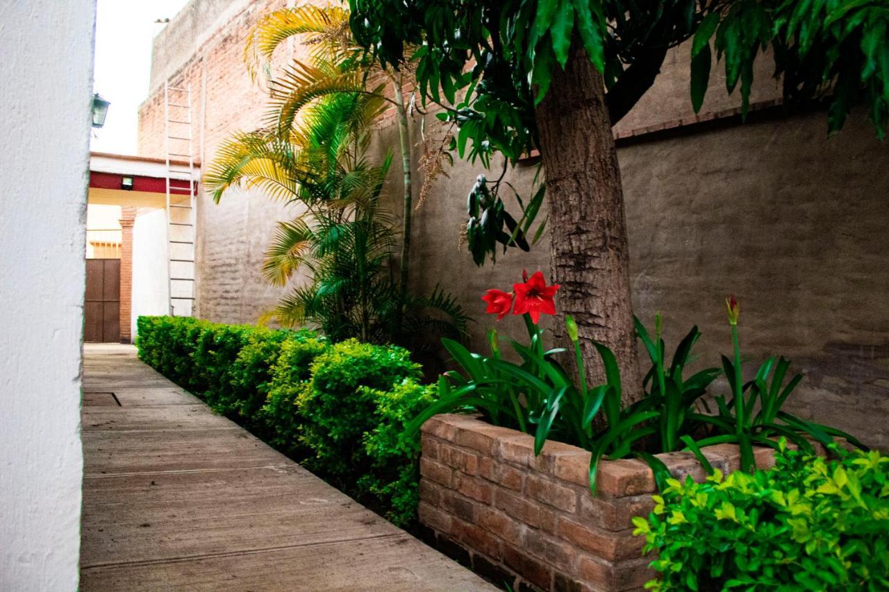 Villa Flores, Casa En El Centro De Mascota Luaran gambar
