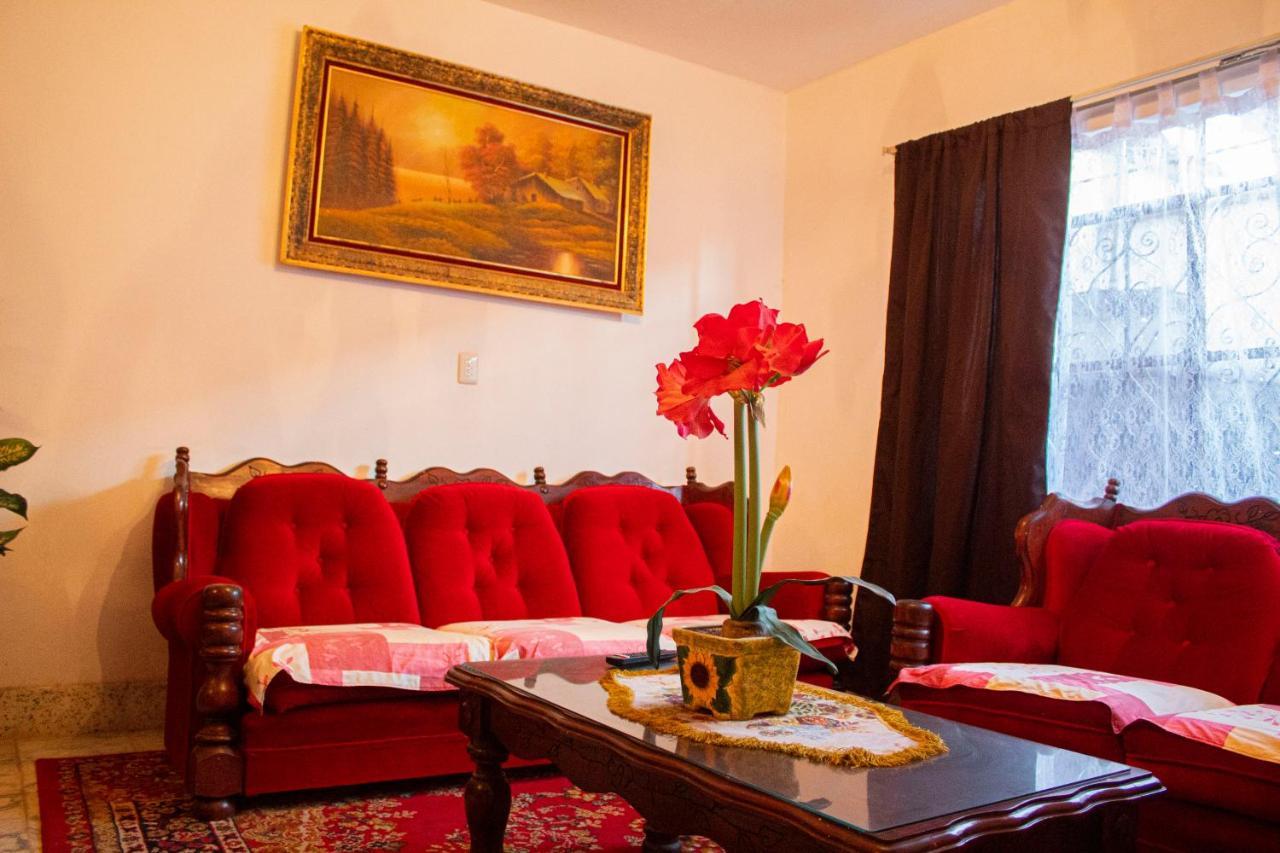 Villa Flores, Casa En El Centro De Mascota Luaran gambar