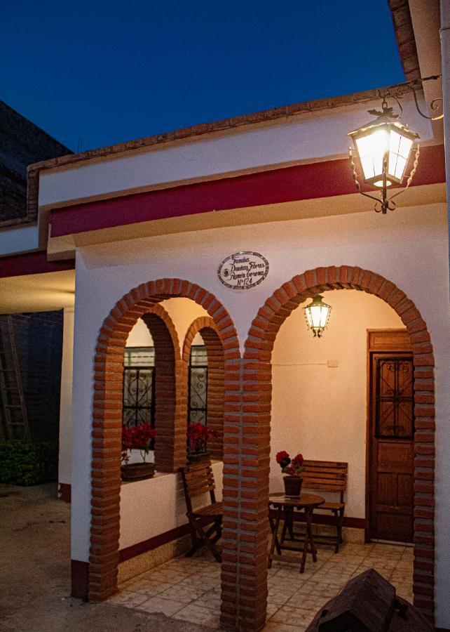 Villa Flores, Casa En El Centro De Mascota Luaran gambar