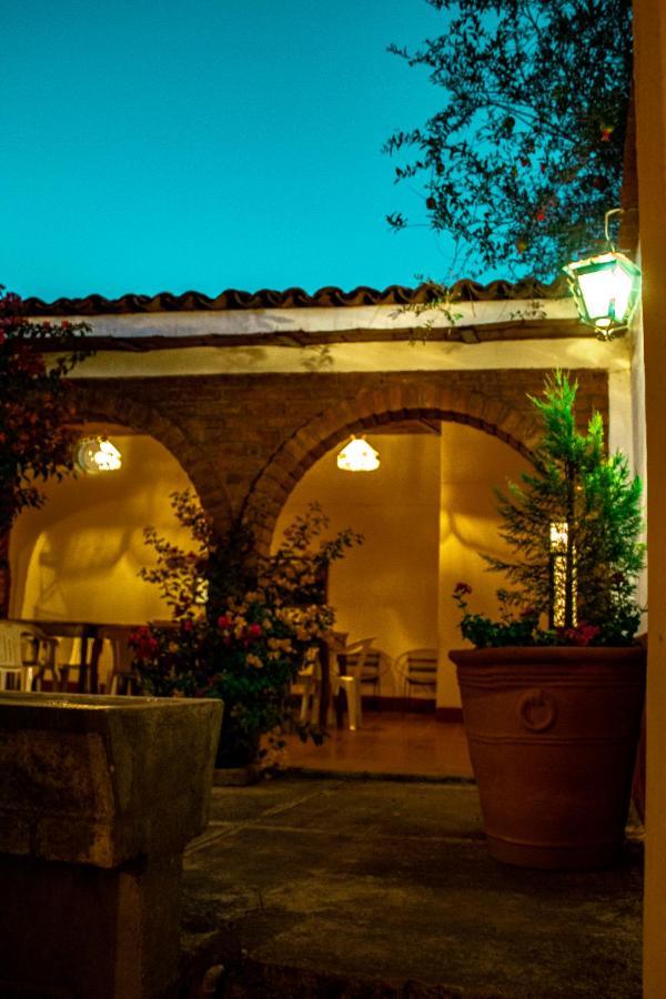 Villa Flores, Casa En El Centro De Mascota Luaran gambar