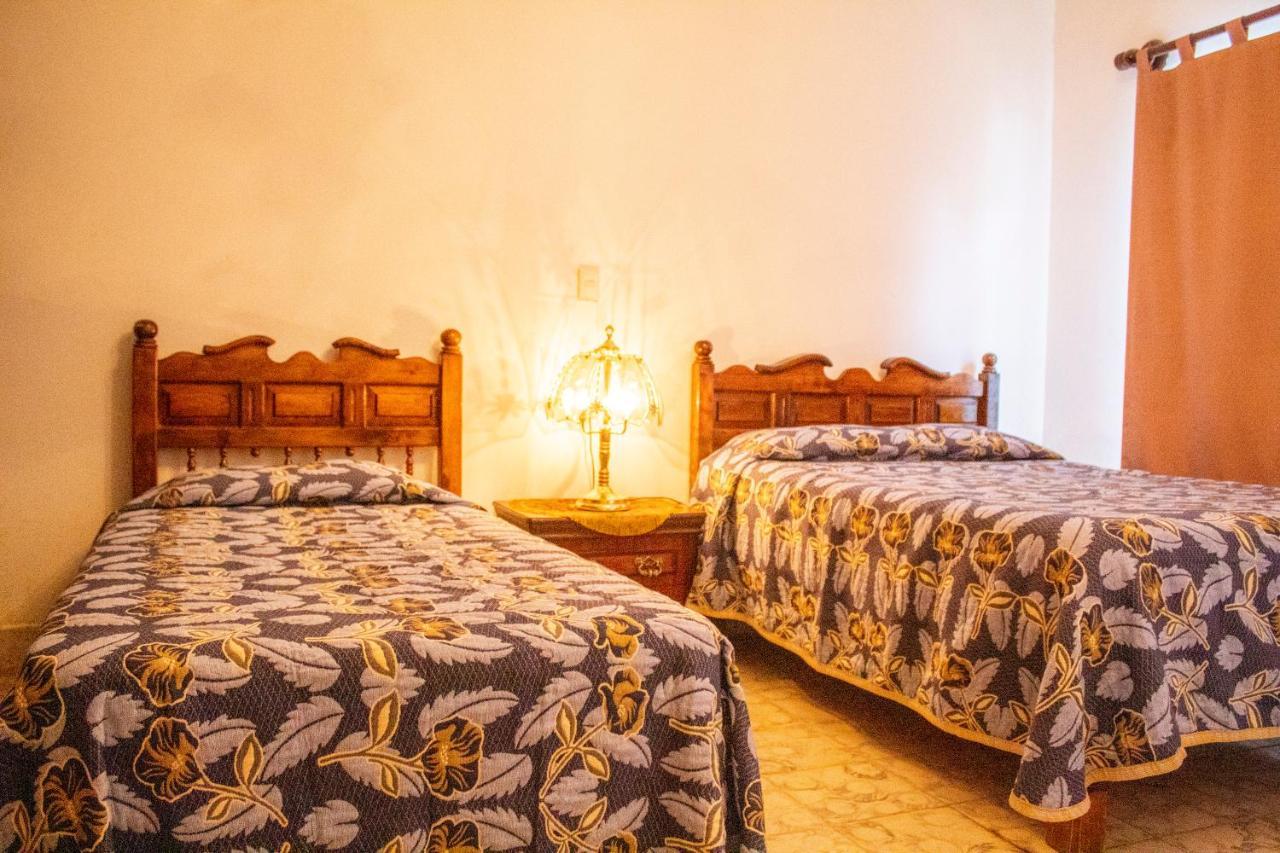Villa Flores, Casa En El Centro De Mascota Luaran gambar