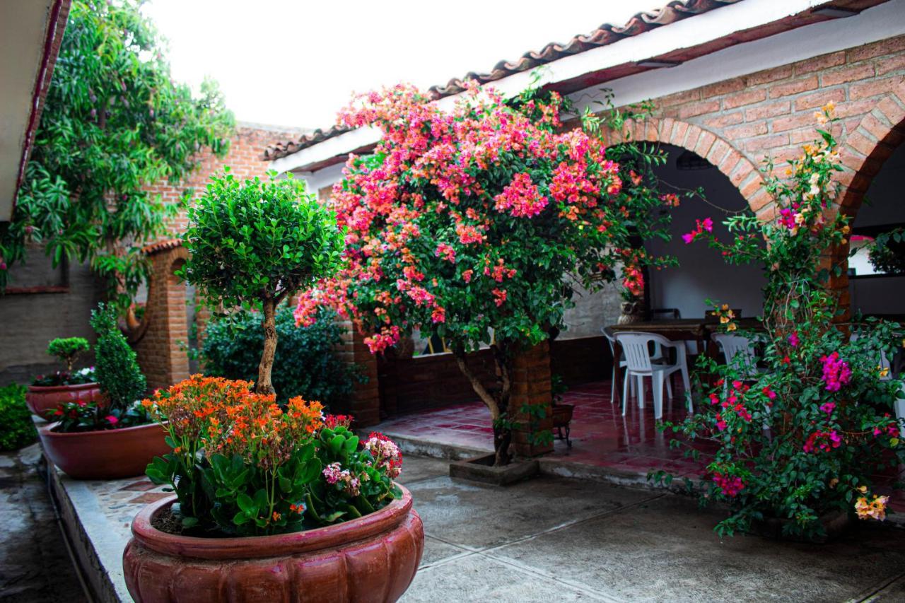 Villa Flores, Casa En El Centro De Mascota Luaran gambar
