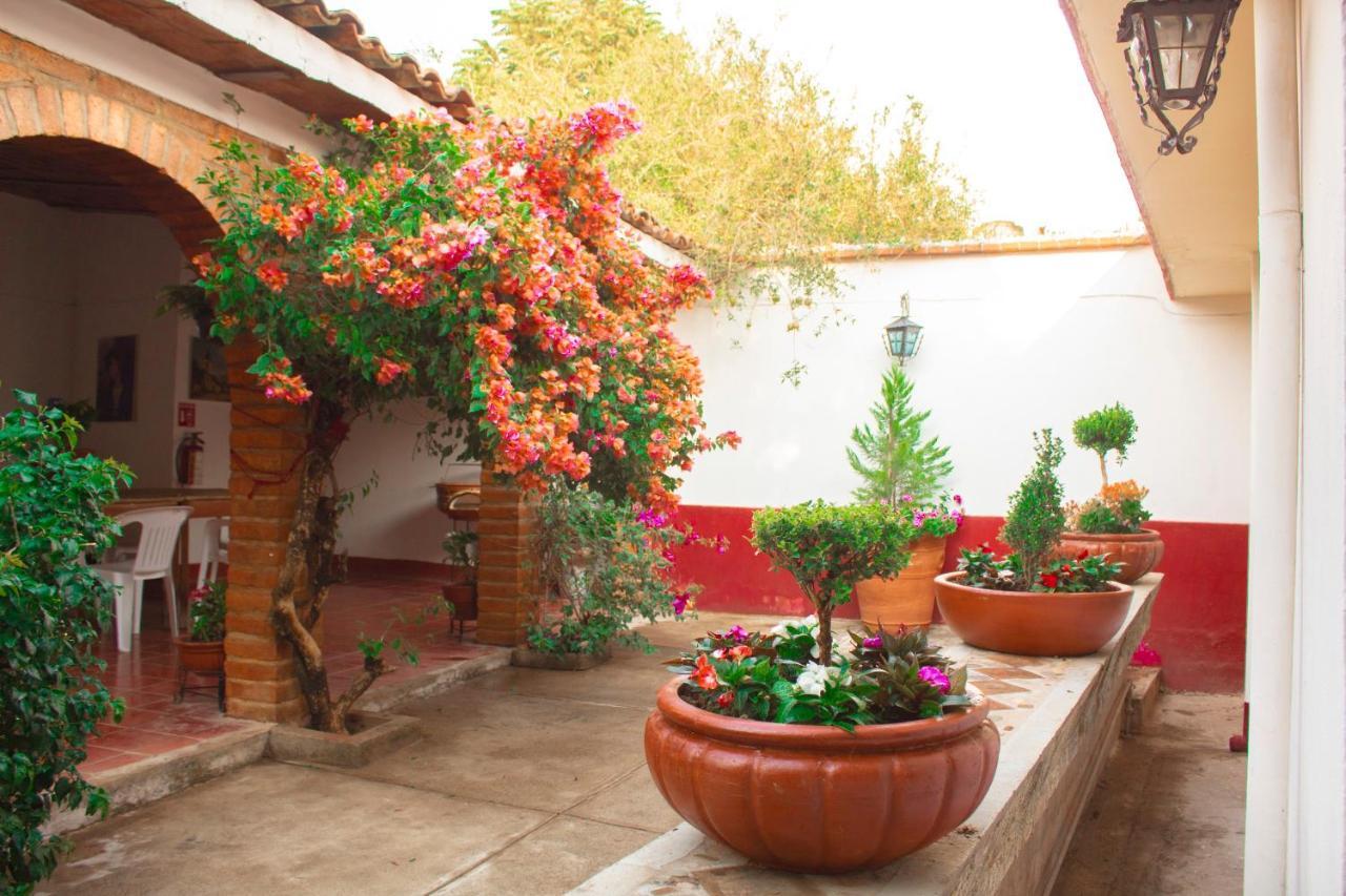 Villa Flores, Casa En El Centro De Mascota Luaran gambar
