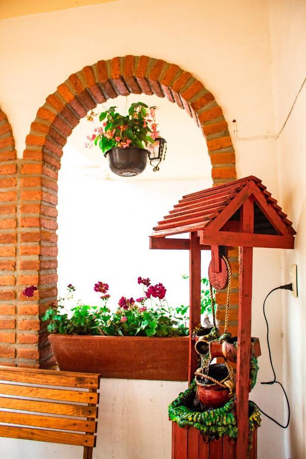 Villa Flores, Casa En El Centro De Mascota Luaran gambar
