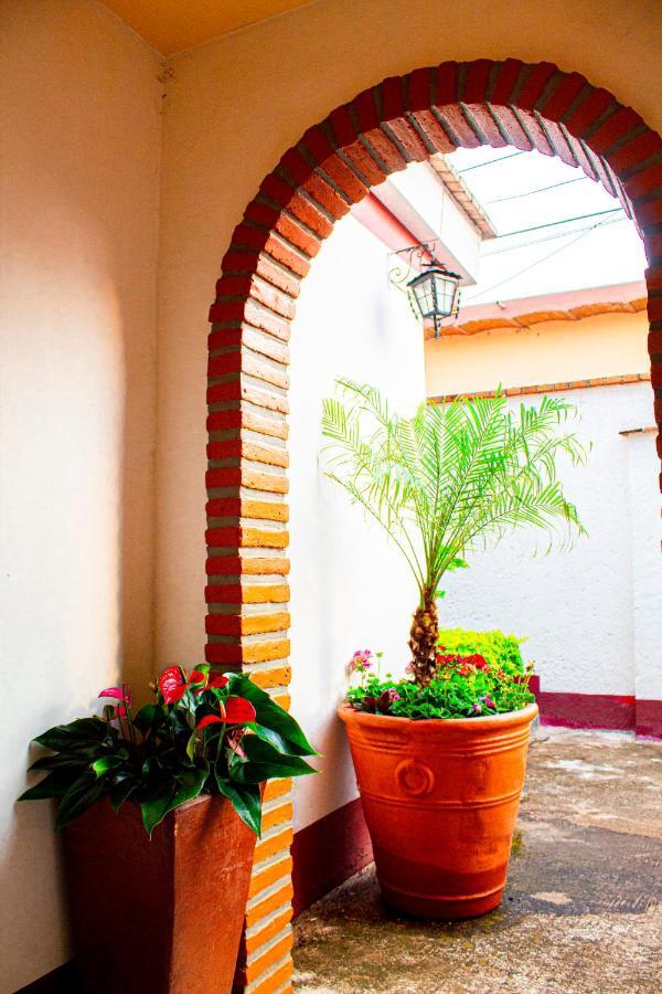 Villa Flores, Casa En El Centro De Mascota Luaran gambar