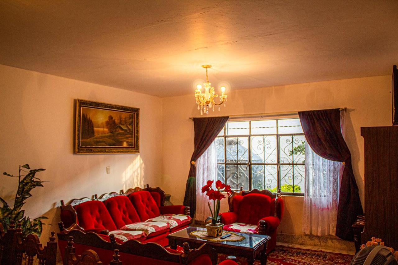 Villa Flores, Casa En El Centro De Mascota Luaran gambar
